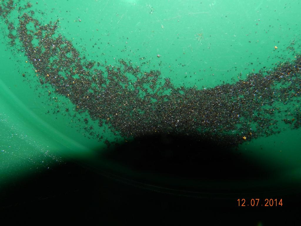 DSCN9455.jpg